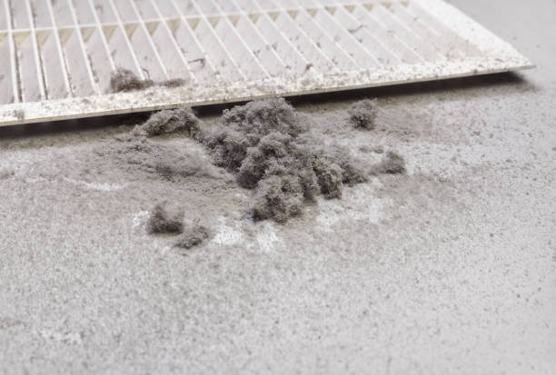 Best Affordable HVAC Duct Cleaning  in Cloverly, MD