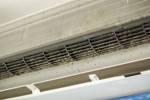 Best Air Duct Cleaning Company Near Me  in Cloverly, MD